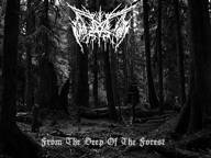 Winterstorm (ESP-1) : From the Deep of the Forest